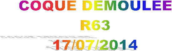 COQUE DEMOULEE
R63
17/07/2014