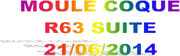 MOULE COQUE
R63 SUITE
21/06/2014