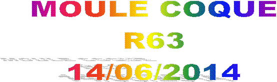 MOULE COQUE
R63
14/06/2014